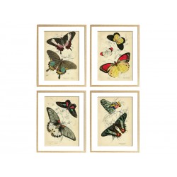 Серия постеров в раме "Butterflies"