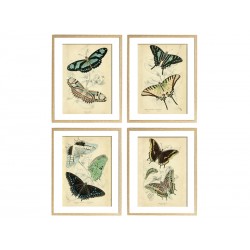 Серия постеров в раме "Butterflies"