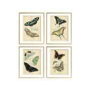 Серія постерів в рамі "Butterflies"