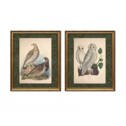 Серия постеров в раме "Старинные рисунки птиц"