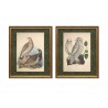 Серія постерів в рамі "Старовинні малюнки птахів"