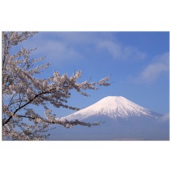 Постер " Гора Фудзі"