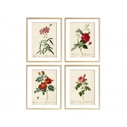 Серія постерів "Старовинні малюнки квітів"