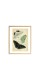 Серія постерів "Старовинні малюнки метеликів"