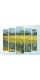 Модульна фотокартина "Поле з ірисами біля Арлі. Вінсент Ван Гог"