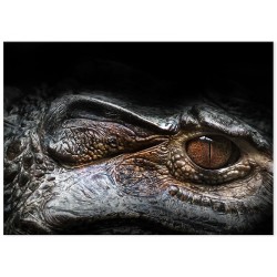 Фотокартина "Alligator"