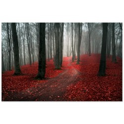 Фотокартина "Красный лес"