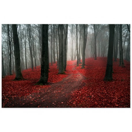 Фотокартина "Красный лес"