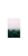 Фотокартина "Ліс і туман"