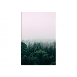 Фотокартина "Ліс і туман"