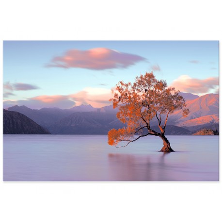 Фотокартина "Дерево в озері"