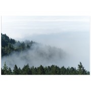 Фотокартина "Туман"