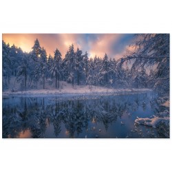 Фотокартина "Зимний лес"