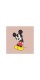 Серия фотокартин "Mickey Mouse"