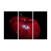 Модульная картина "Красное яблоко"