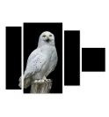 Модульна картина "Сніжна сова"