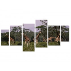 Модульная картина "Safari"