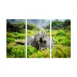 Модульная картина "Zebra"