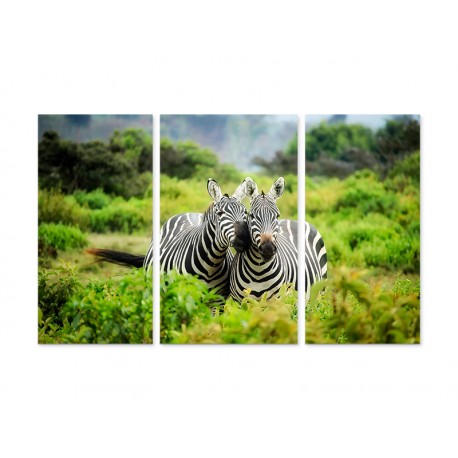 Модульна картина "Zebra"