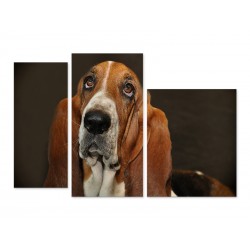 Модульная картина "Bloodhound"