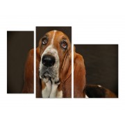 Модульна картина "Bloodhound"