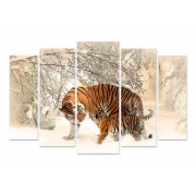 Модульная картина "Тигр"