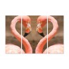Модульная картина "Flamingo heart"