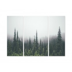 Модульная картина "Forest"