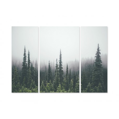 Модульна картина "Forest"