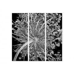 Модульная картина "Dried flowers"