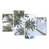 Модульная картина "Palm"