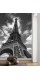 Фотообои "Eiffel Tower"