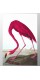 Фотообои "Американский фламинго. Джон Дж. Одюбон"