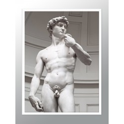 Постер в рамке "Давид, Микеланджело"