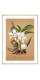 Серія постерів в рамці "Orchid"