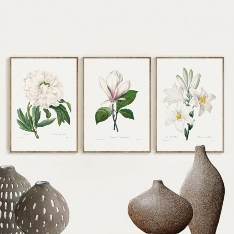 Серія постерів в рамках "Старовинні малюнки. Квіти"