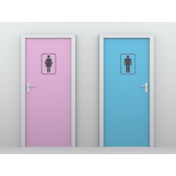 Трафарет "Знак туалета жіночий"