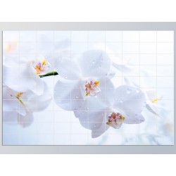 Панно "Белая орхидея"
