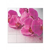 Панно "Розовые орхидеи"