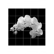 Панно "Біла орхідея"
