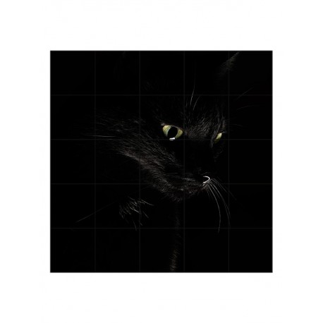 Панно "Black cat"