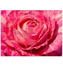 Панно "Троянда" Панно "Троянда"
