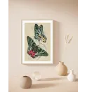 Постер в рамке "Butterflies" Постер в рамке "Butterflies"