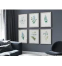 Постер в рамці Flowers. Botany" Постер в рамці Flowers. Botany"