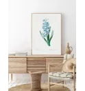 Постер в рамці Flowers. Botany" Постер в рамці Flowers. Botany"