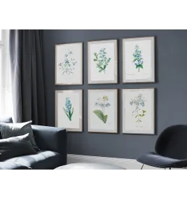 Постер в рамке "Flowers. Botany"