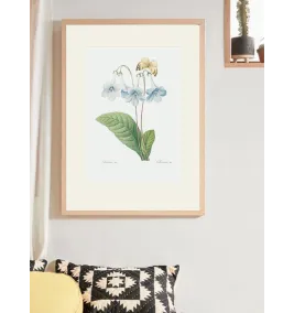 Постер в рамке "Flowers. Botany"