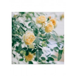 Панно "Желтые розы"