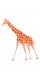 Наклейка "Giraffe"