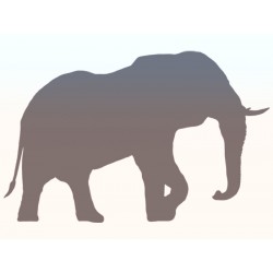 Наклейка "Слон" колір на вибір